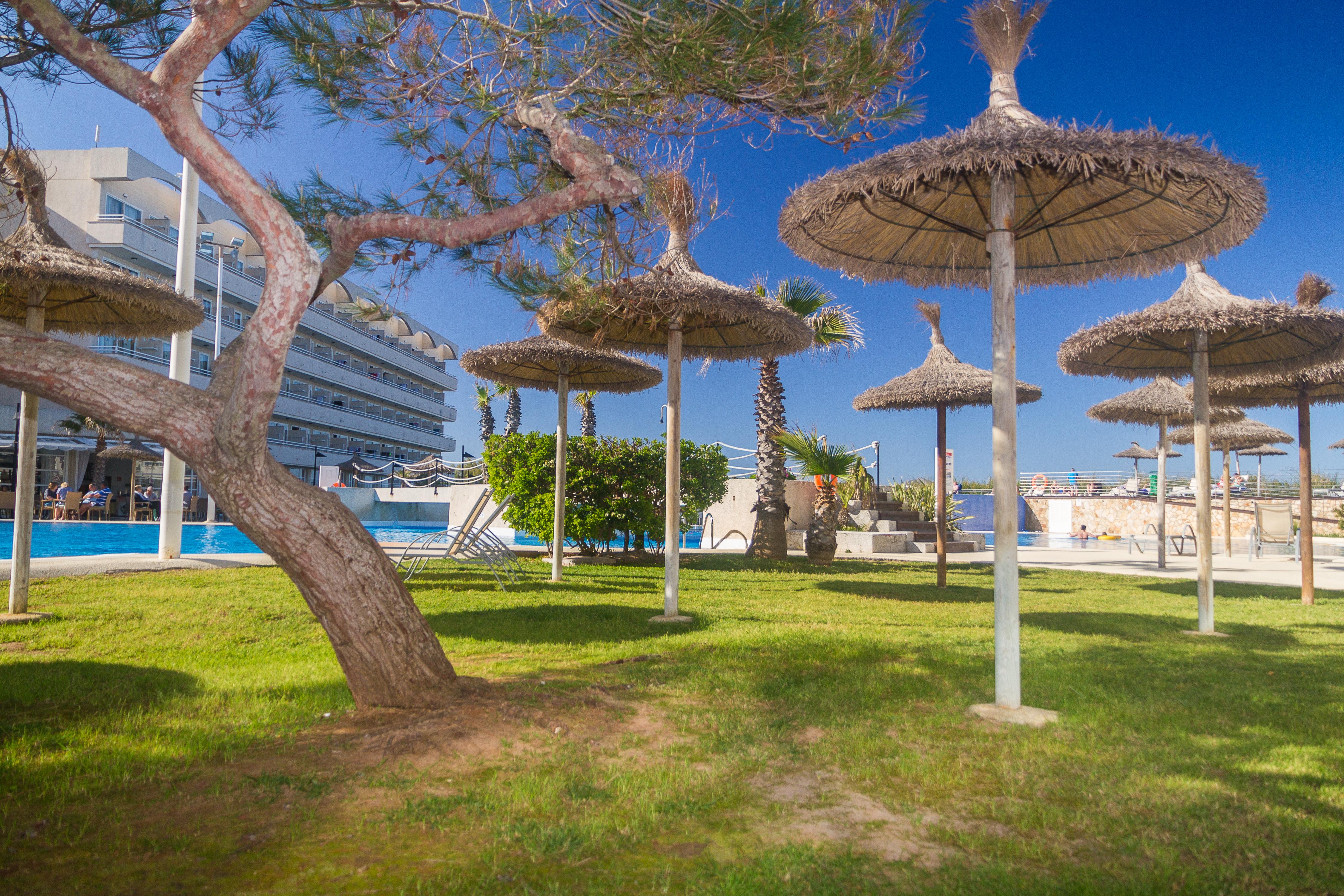Eix Platja Daurada &