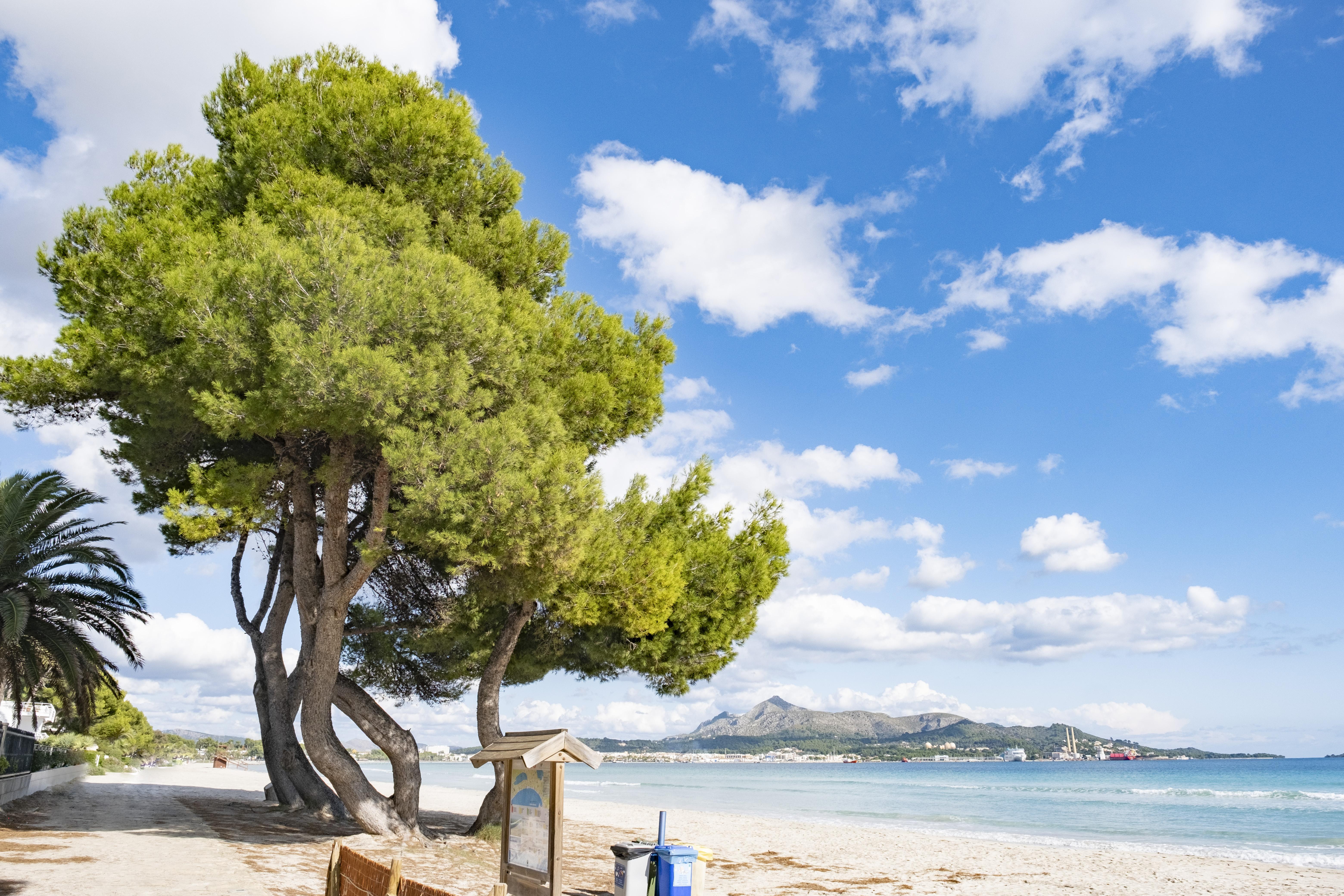 Eix Platja Daurada & Aparthotel 4*